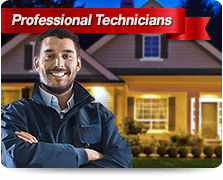 Professionals